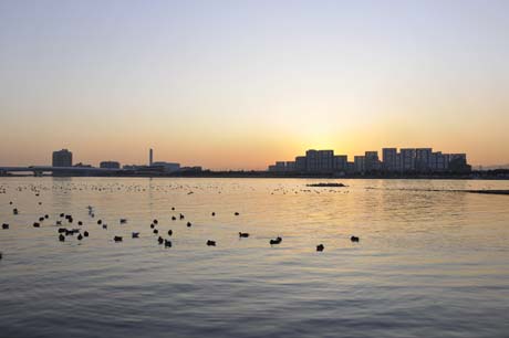 夙川河口